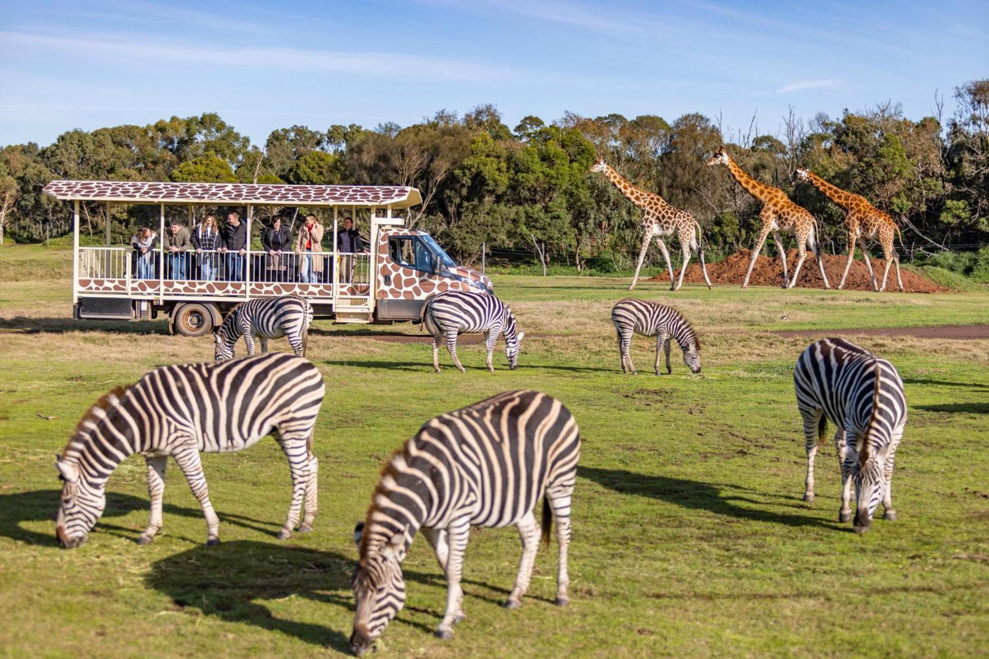 Holiday Inn Werribee, An Ihg Hotel المظهر الخارجي الصورة